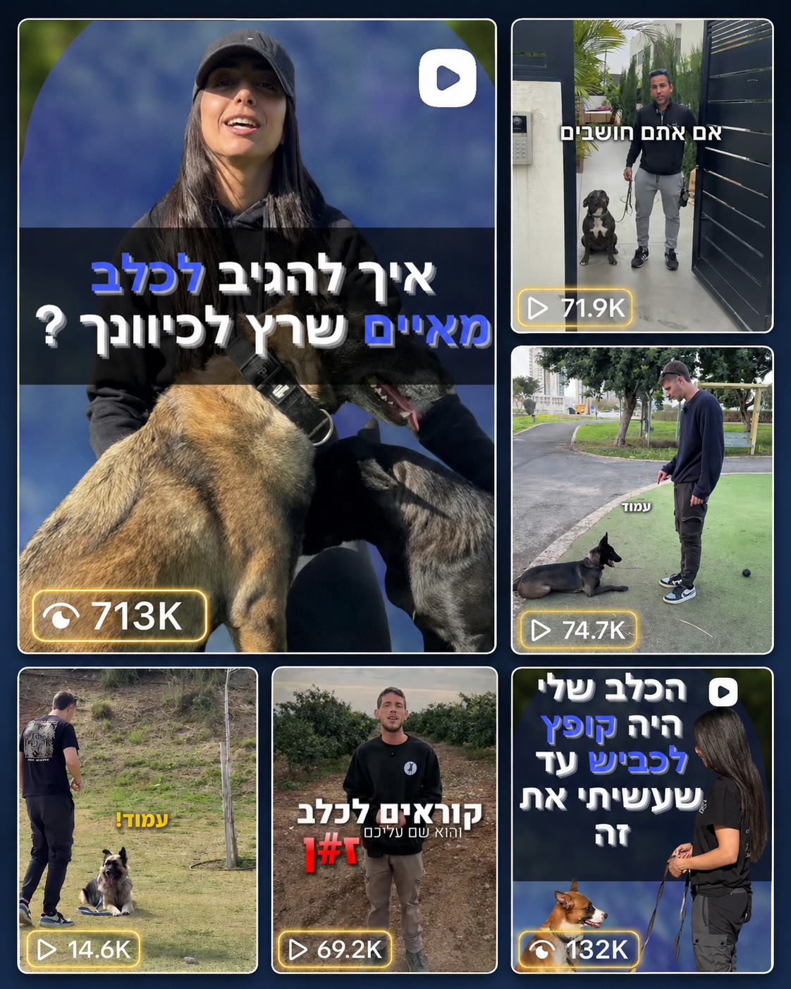 צילום מסך — צפיות