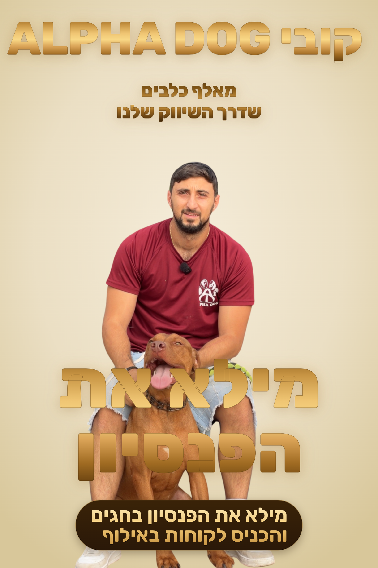 קובי